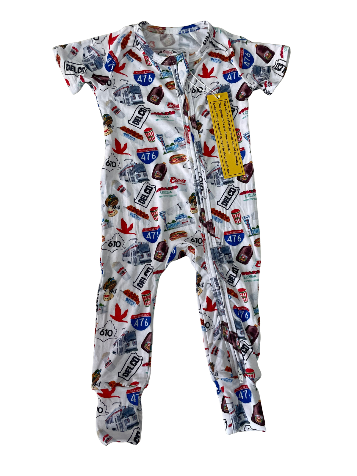 Delco Zippy