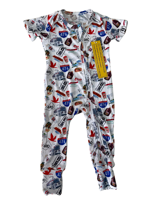 Delco Zippy